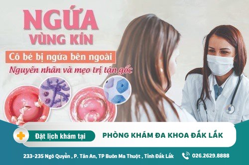 Nguyên Nhân Của Ngứa Vùng Kín Là Gì? Cách Chữa Trị Hiệu Quả